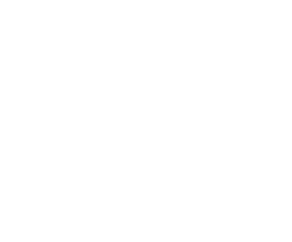 Фотография go-boardcamp