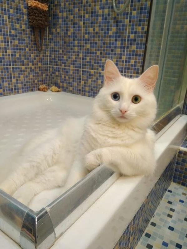 Фотография Sevastpolko