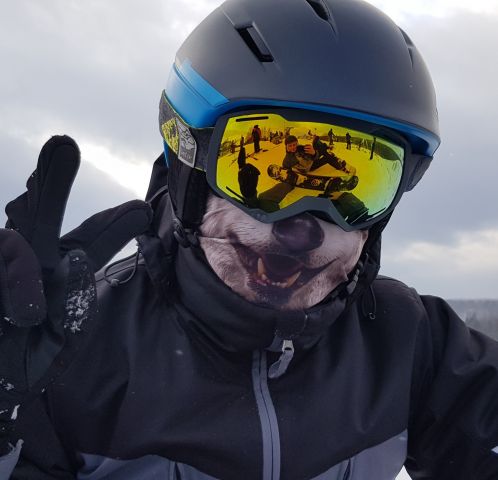 Фотография KuZZneTZ