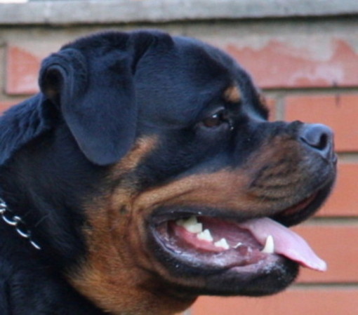 Фотография IGorrV