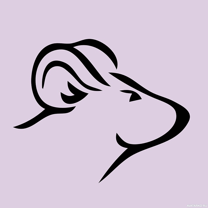 Фотография LavenderMouse