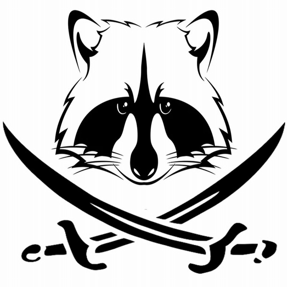 Фотография FastRacoon