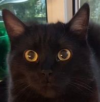 Фотография Белиссимо