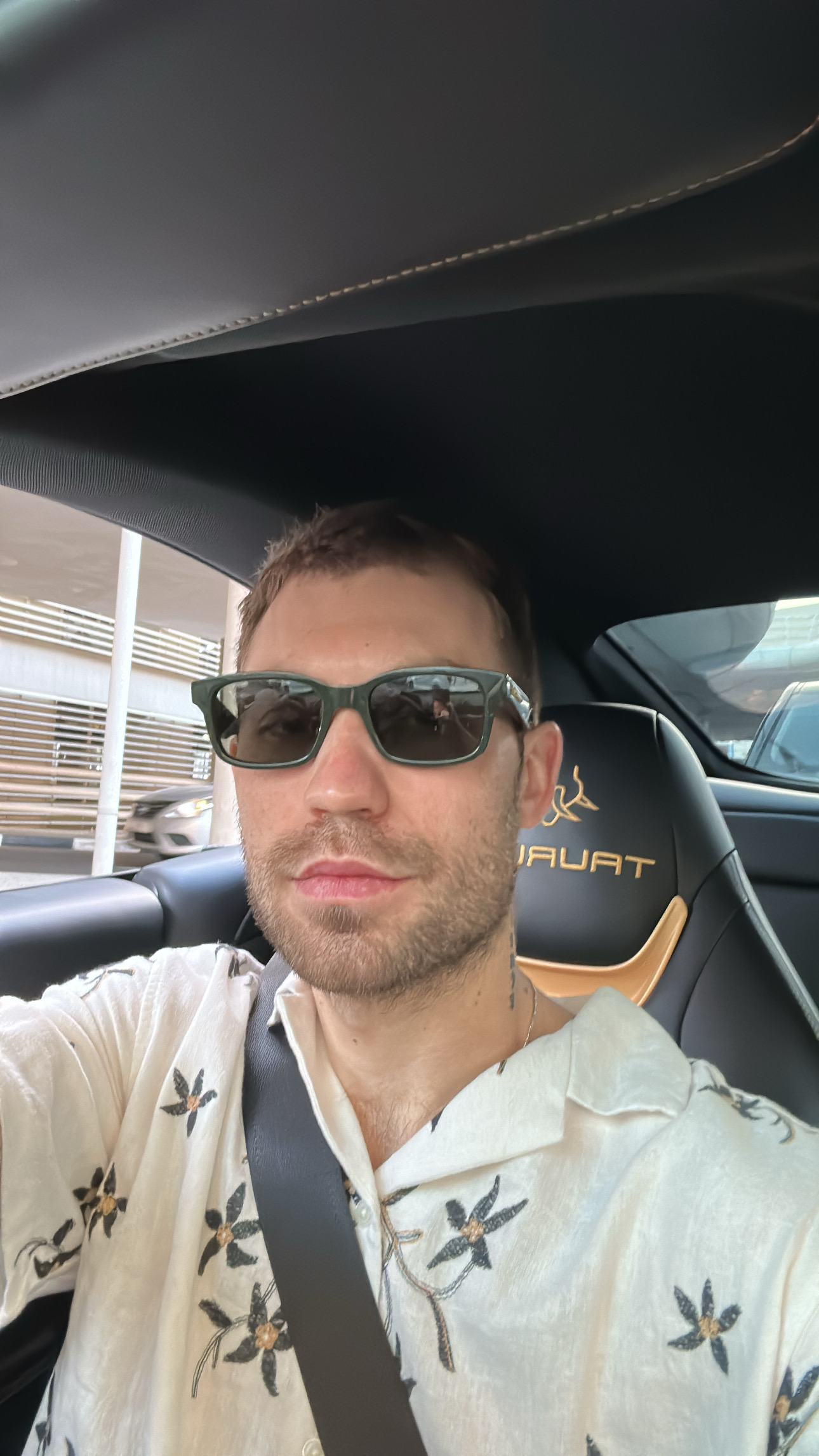 Фотография sinpaid bull
