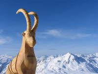 Фотография Андрей-Ирина