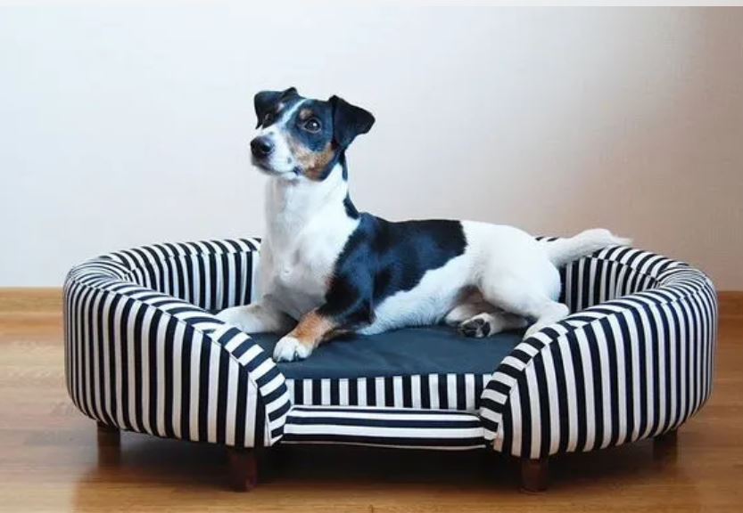 Фотография ISAT