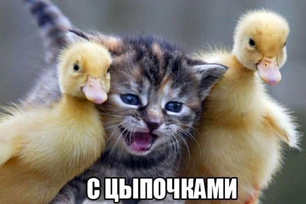 Фотография 1Makar