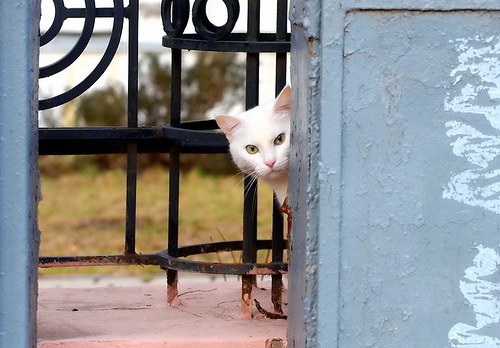 Фотография Ekaterina(857)