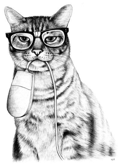 Фотография CaTTimofei