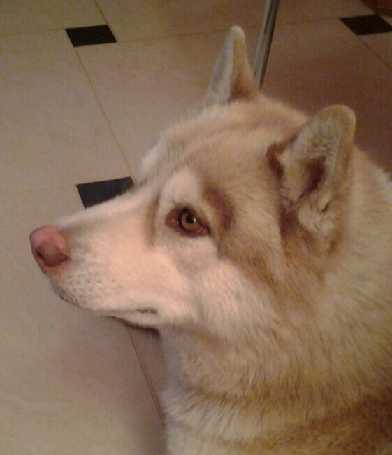 Фотография sever