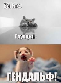 Фотография Людмила12
