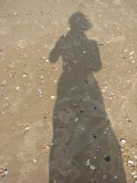 Фотография Fusion