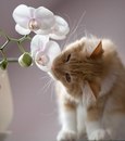 Фотография МеждуИн