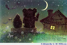 Фотография Vitta