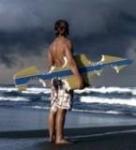 Фотография AlizonJohn