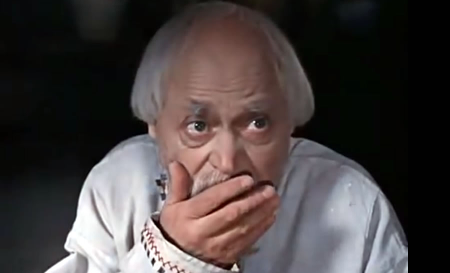 Фотография Tutty Free