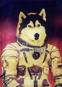 Фотография Александр Alienson