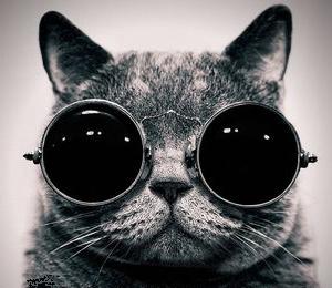 Фотография ataktov