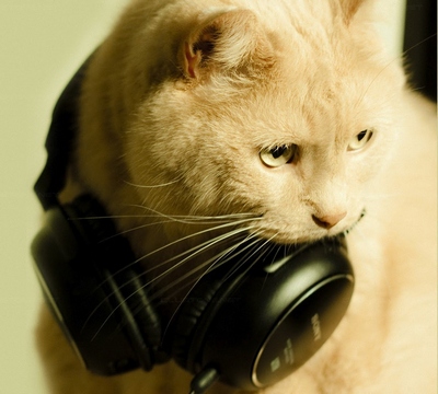 Фотография UnknownBeast