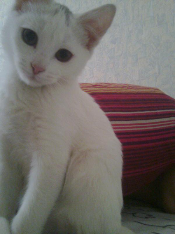 Фотография mariekano