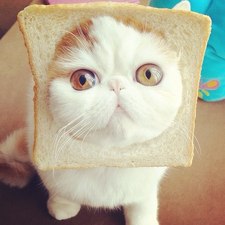 Фотография pamkat