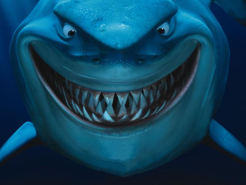 Фотография DarkShark