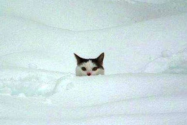 Фотография Anna101