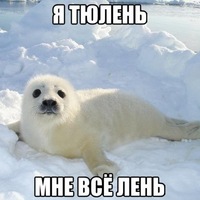 Фотография Дима Овчинников