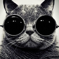 Фотография Том Сойер